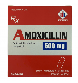 VIÊN NANG CỨNG AMOXICILLIN 500mg